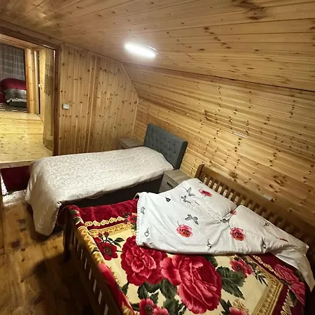 Vellezrit Gjelaj